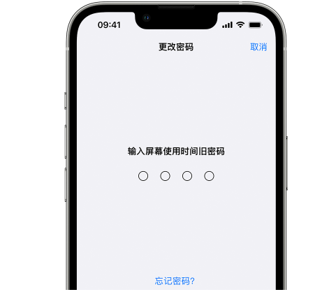 宁乡iPhone屏幕维修分享iPhone屏幕使用时间密码忘记了怎么办 