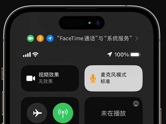 宁乡苹果授权维修网点分享iPhone在通话时让你的声音更清晰 