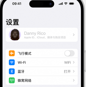 宁乡appleID维修服务iPhone设置中Apple ID显示为灰色无法使用