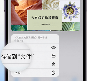 宁乡apple维修中心分享iPhone文件应用中存储和找到下载文件