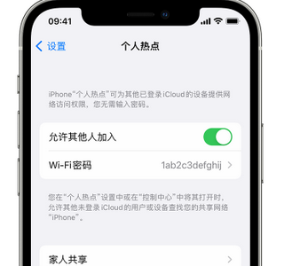 宁乡apple服务站点分享iPhone上个人热点丢失了怎么办 