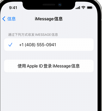 宁乡apple维修iPhone上无法正常发送iMessage信息