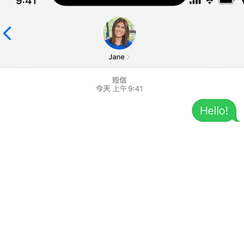 宁乡apple维修iPhone上无法正常发送iMessage信息