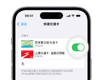 宁乡apple维修点分享iPhone上更换Apple Pay快捷交通卡手绘卡面 