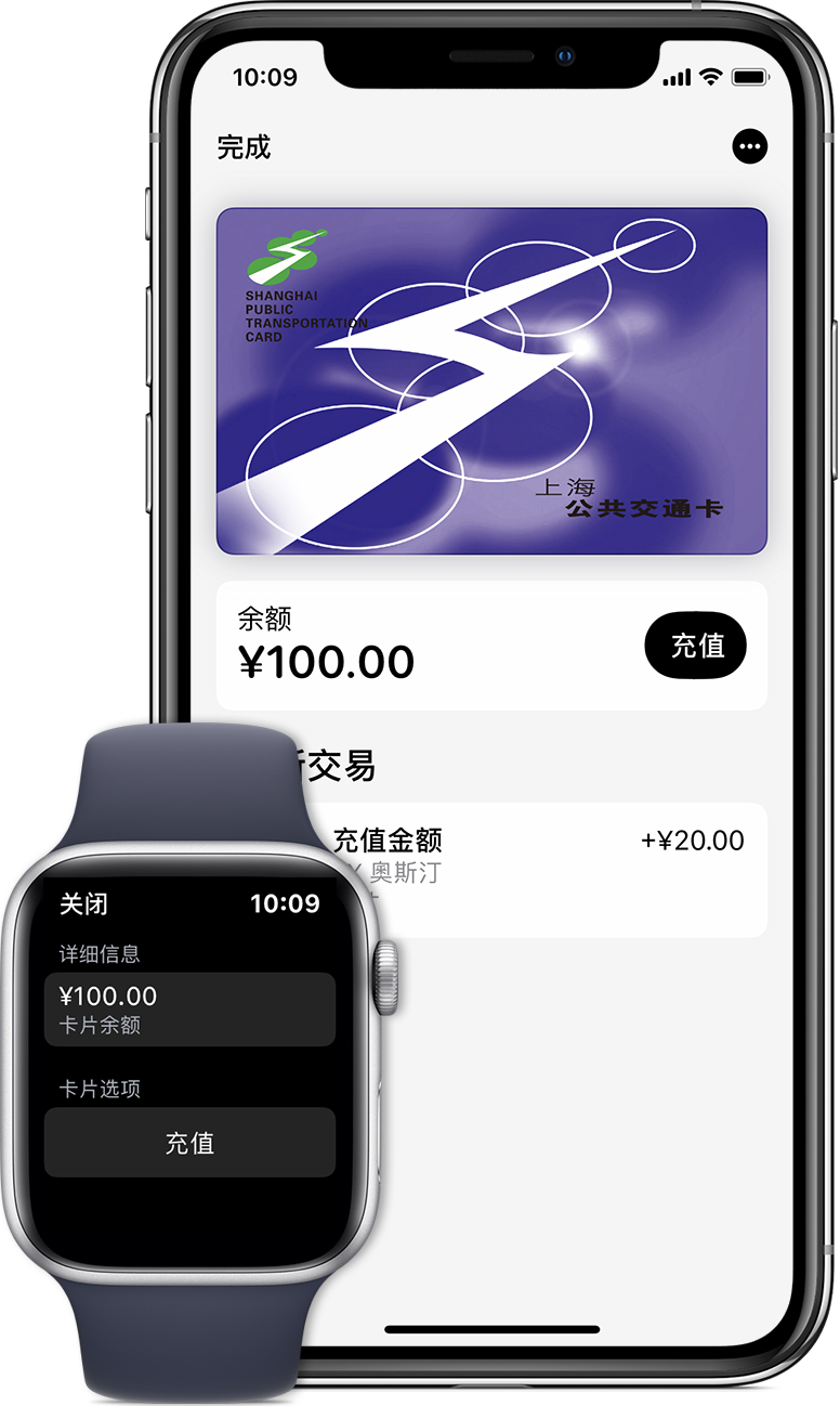 宁乡苹果手机维修分享:用 Apple Pay 刷交通卡有哪些优势？如何设置和使用？ 