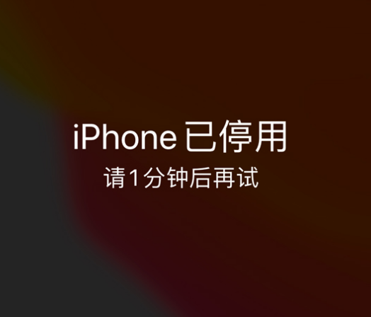 宁乡苹果手机维修分享:iPhone 显示“不可用”或“已停用”怎么办？还能保留数据吗？ 