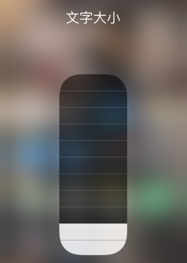 宁乡苹果手机维修分享小技巧：在 iPhone 控制中心快速调节字体大小 