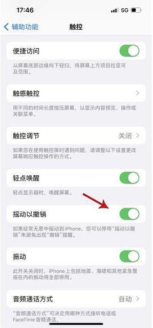 宁乡苹果手机维修分享iPhone手机如何设置摇一摇删除文字 