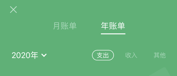 宁乡苹果手机维修分享如何在 iPhone 上查看支付宝和微信年支出账单 